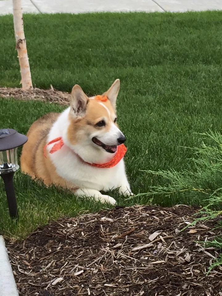 Abby